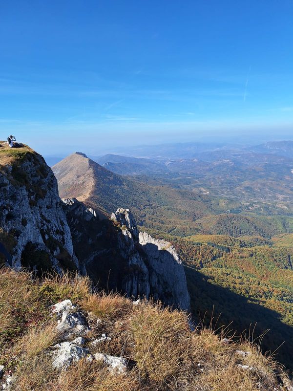 Wildpferde in freier Natur beobachten