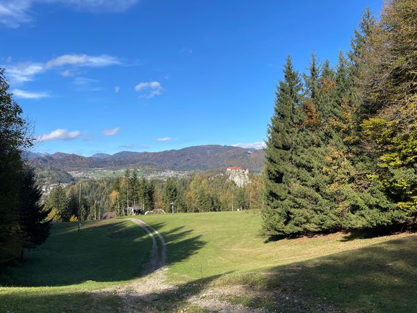 Rodelspaß mit Aussicht