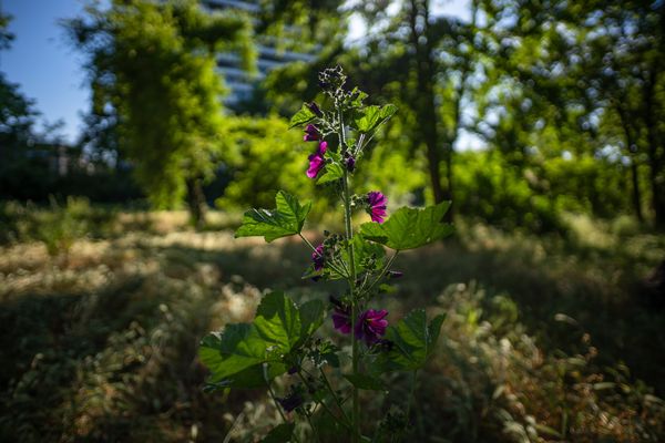 Spaziergang entlang historischer Festungswälle