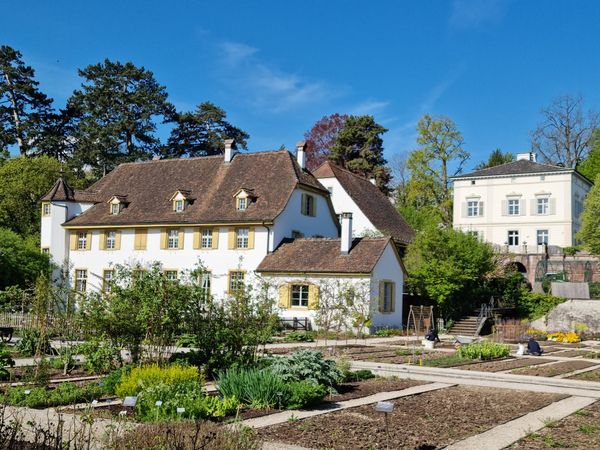 Magische Natur-Welt entdecken