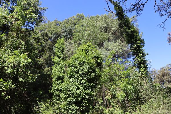 Naturparadies in der Sierra Morena