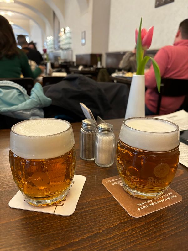 Tschechisches Bier meistern