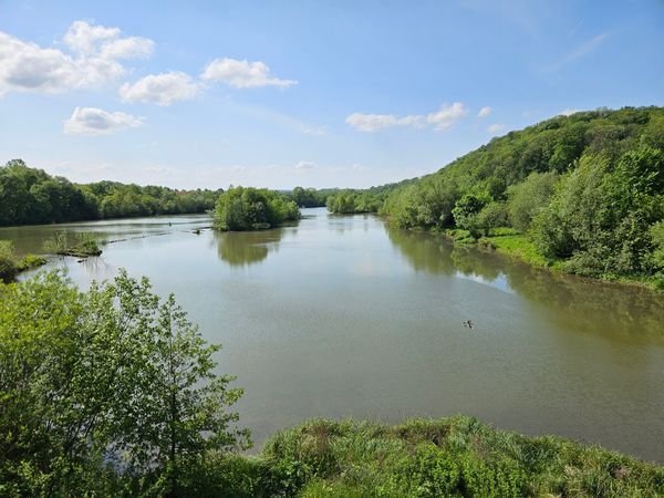 Entdecke die Naturvielfalt am Neckar