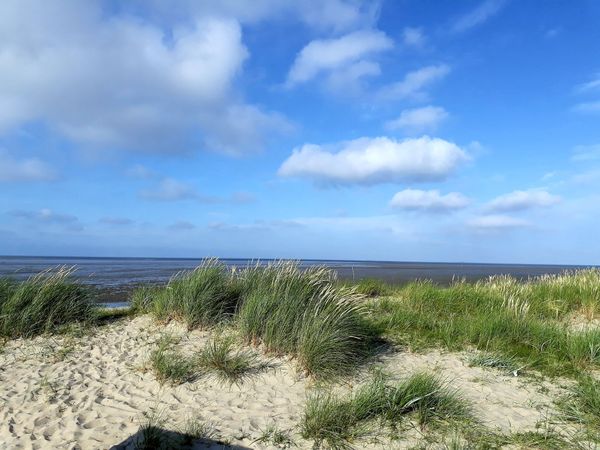 Weitläufiger Strand für Familienabenteuer