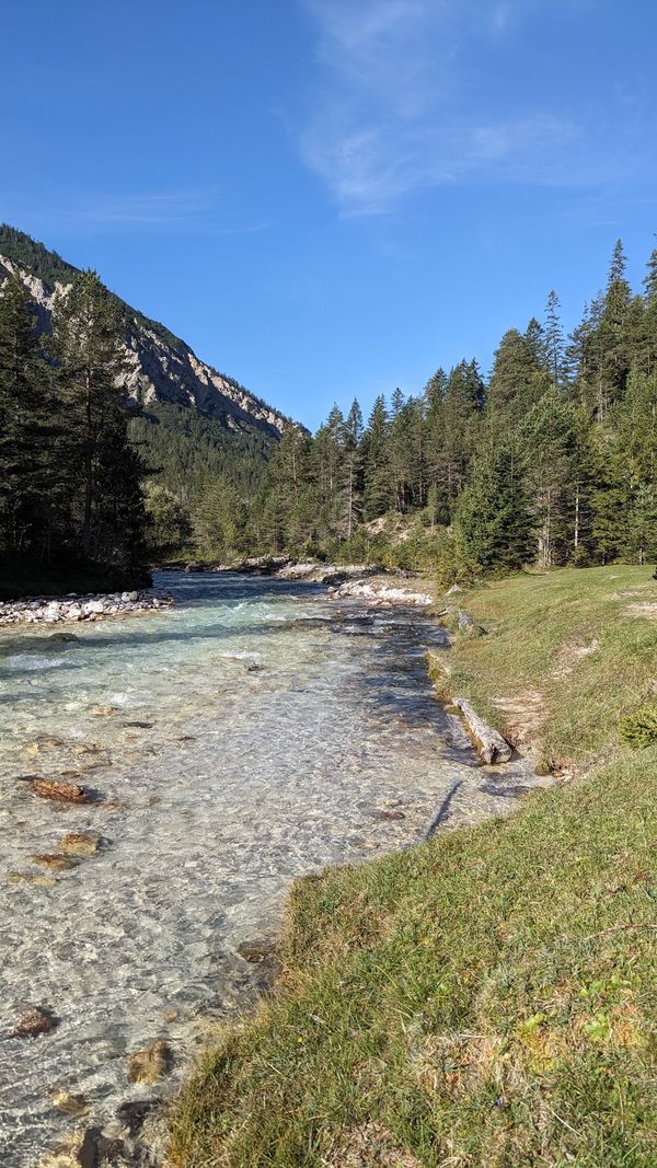 Entdecke die Vielfalt der Alpenkräuter