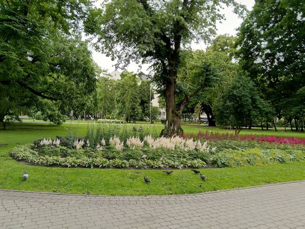 Grüne Oase in der Stadtmitte