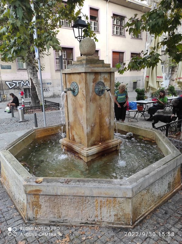 Tauche ein in die Bohème Belgrads