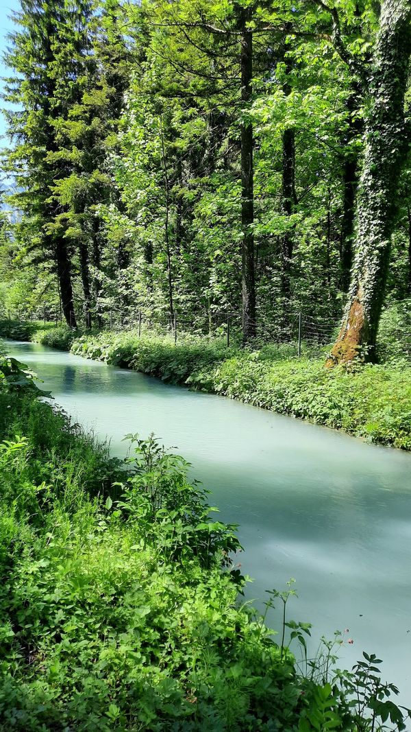 Erfrischende Abkühlung im Stadtfluss