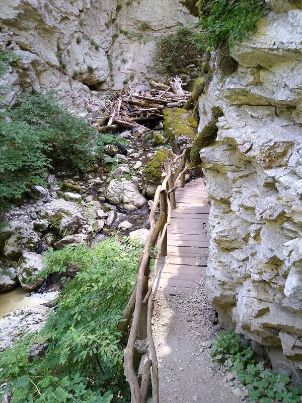 Mystische Brücke in der Natur