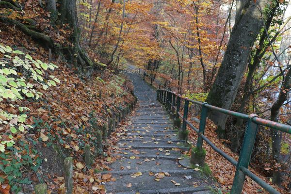 Tierpark-Erlebnis mit der Familie