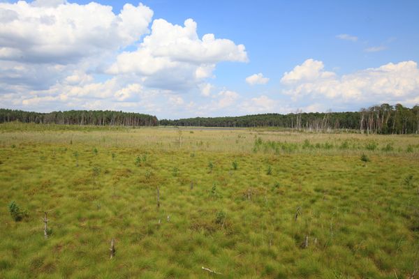 Naturerlebnis in Deutschlands größtem Binnen-Nationalpark