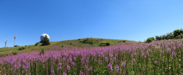 Natur pur auf dem Premiumweg