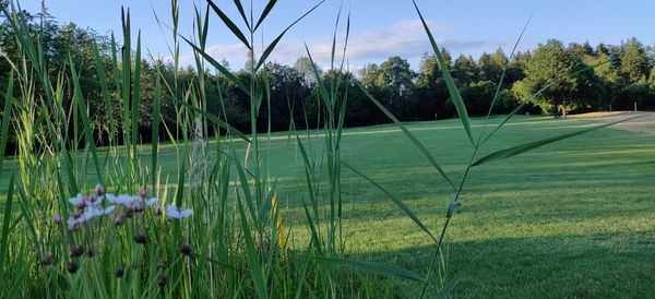 Perfekter Schwung in idyllischer Natur