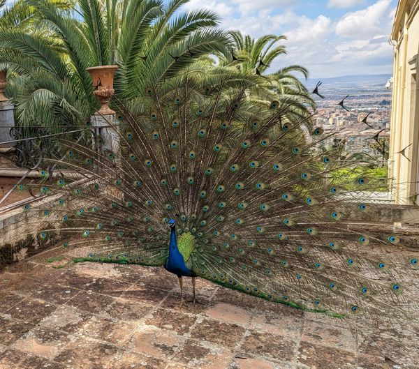 Oase der Ruhe nahe der Alhambra