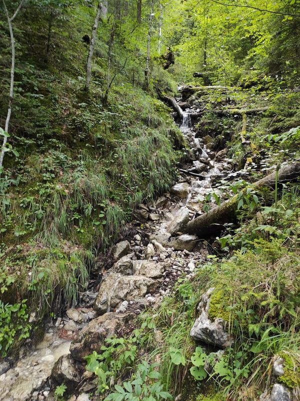 Abenteuerliche Klammwanderung mit Wasserfällen