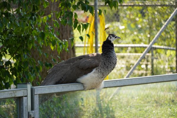 Großzügiger Tierpark für Familien