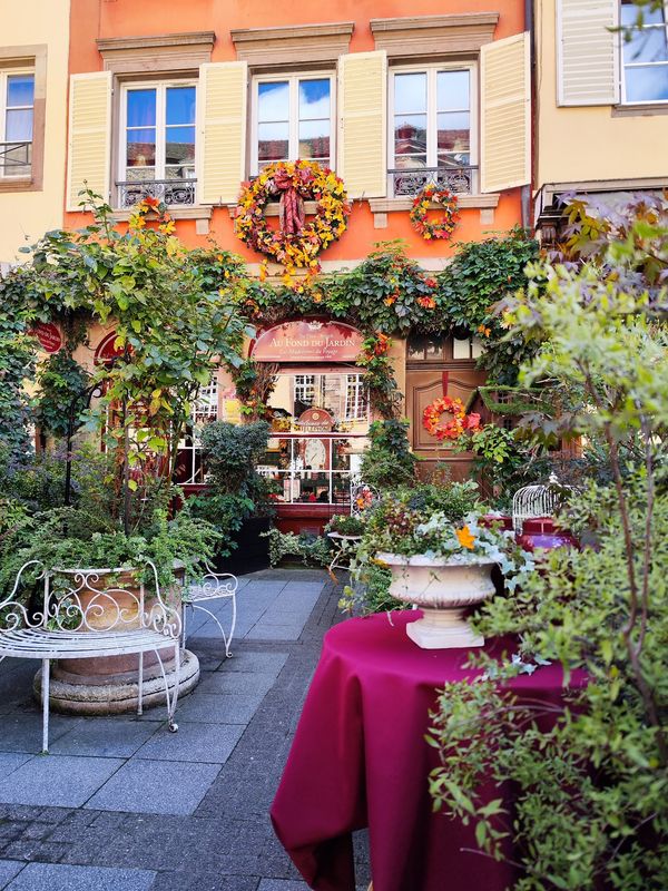 Französisches Teezeit-Erlebnis