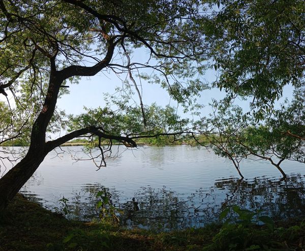 Natur pur: Erkunde Teiche & Tierwelt