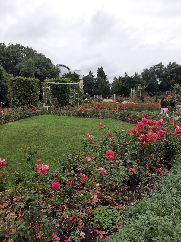 Entspannung und Aussicht im grünen Herzen Prags