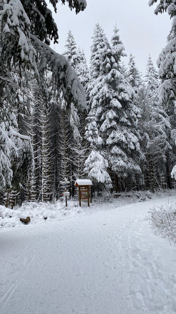 Natur pur am Stadtrand