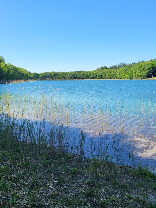 Naturerlebnis in Deutschlands größtem Binnen-Nationalpark