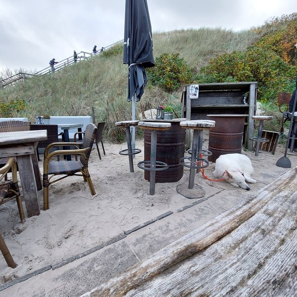 Kreativität trifft Geschmack am Strandaufgang