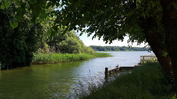 Erkunde Lübecks Wasserwege zu Fuß oder per Boot