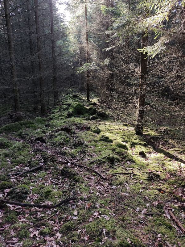 Märchenhafte Radtour
