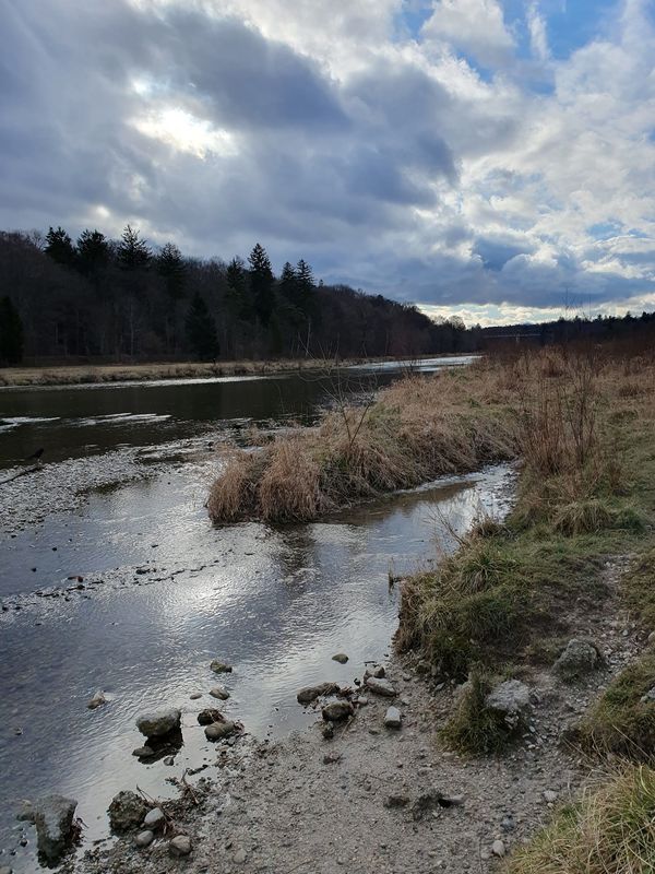 Natur pur entlang der Isar