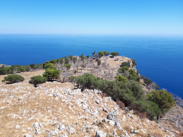 Ausblick über Palermo genießen