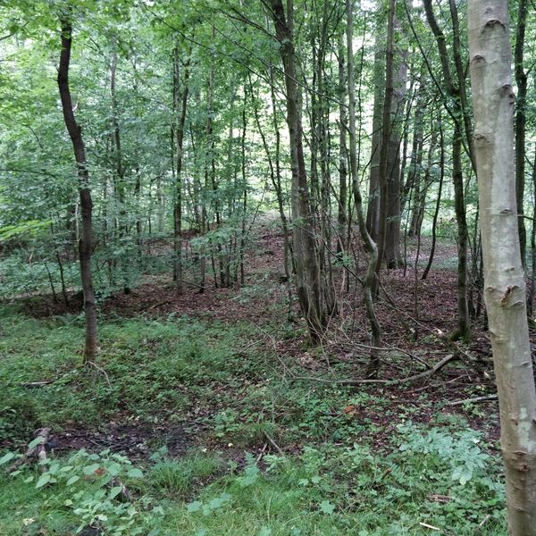 Römische Geschichte hautnah erleben