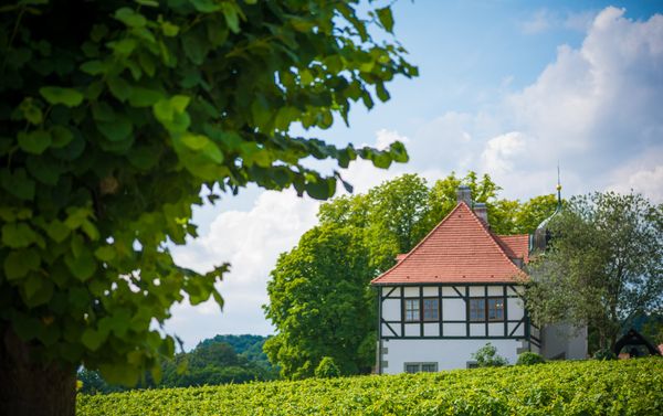 Traditioneller Weinbau erleben