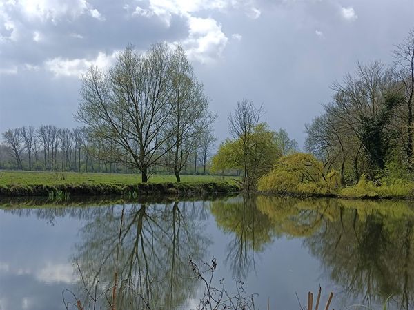 Natur pur am Stadtrand