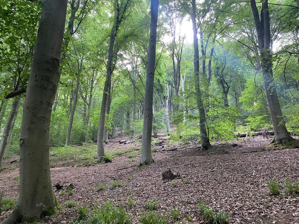 Open-Air Geschichte erleben