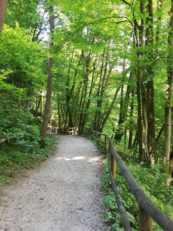 Wandern in der mystischen Klamm