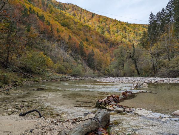 Entdeckungsreise in die größte Waldwildnis Österreichs