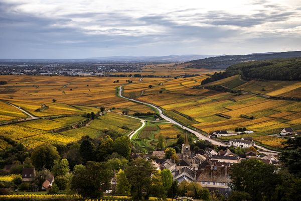 Genieße Burgunds Weinlandschaft