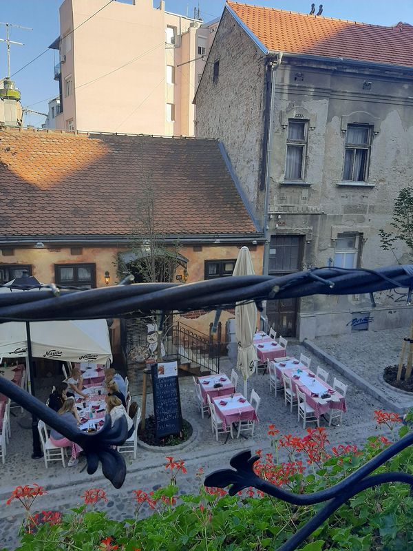 Tauche ein in die Bohème Belgrads