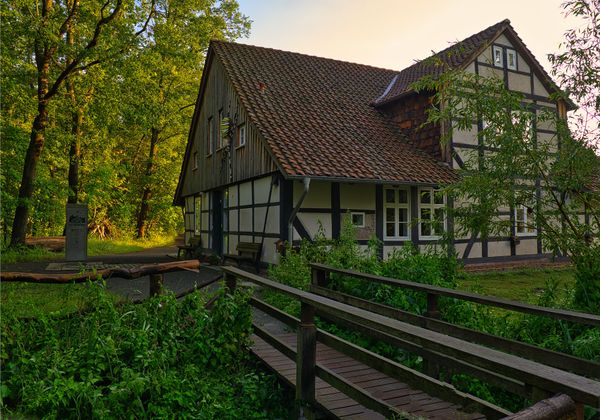 Entdecke die Naturgeschichte und lokale Fauna