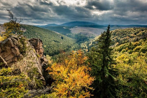 Abenteuer im Nationalpark Harz