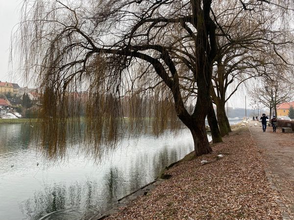 Historische Brückenüberquerung mit atemberaubendem Ausblick