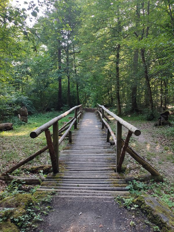 Naturerlebnis für alle Sinne