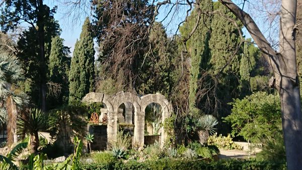 Historischer Botanischer Garten