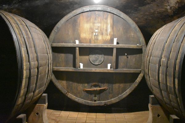 Einzigartige Einblicke in die Welt der Weine im Weinmuseum Vinag 1847