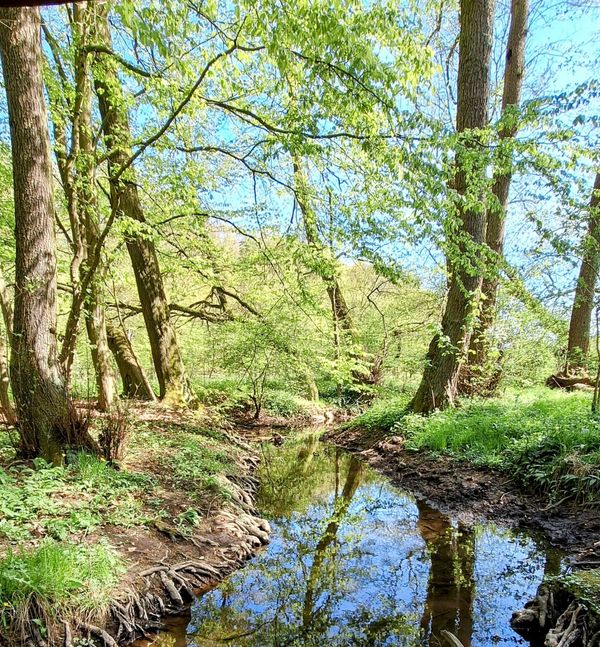 Natur pur am Stadtrand