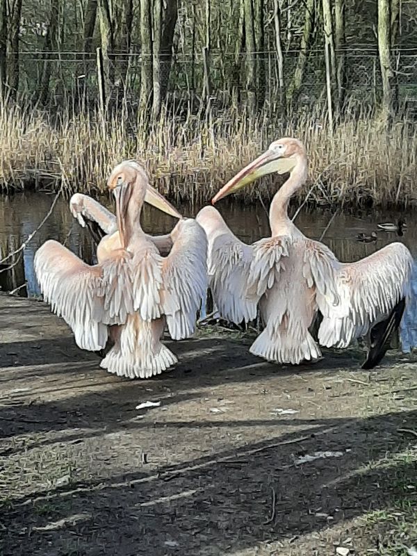 Tierische Begegnungen für die ganze Familie