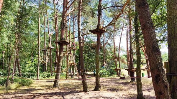 Abenteuer im Hochseilgarten für alle Altersgruppen