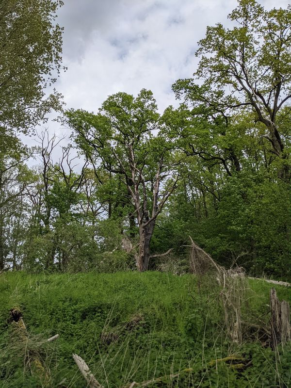 Wandern durch malerische Landschaften