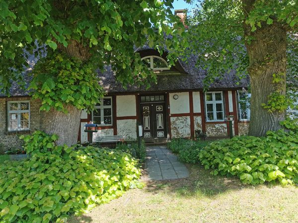 Frischer Fisch mit Aussicht