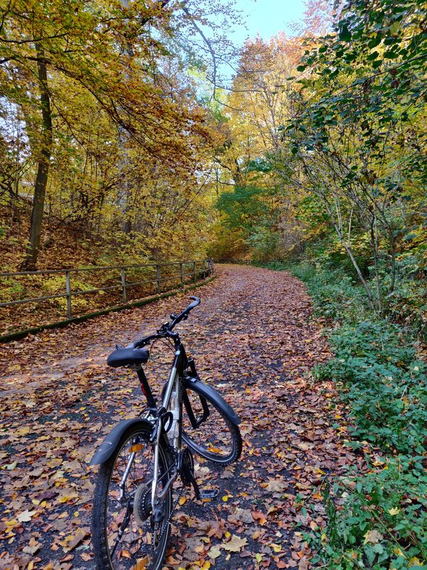 Natur pur am Stadtrand